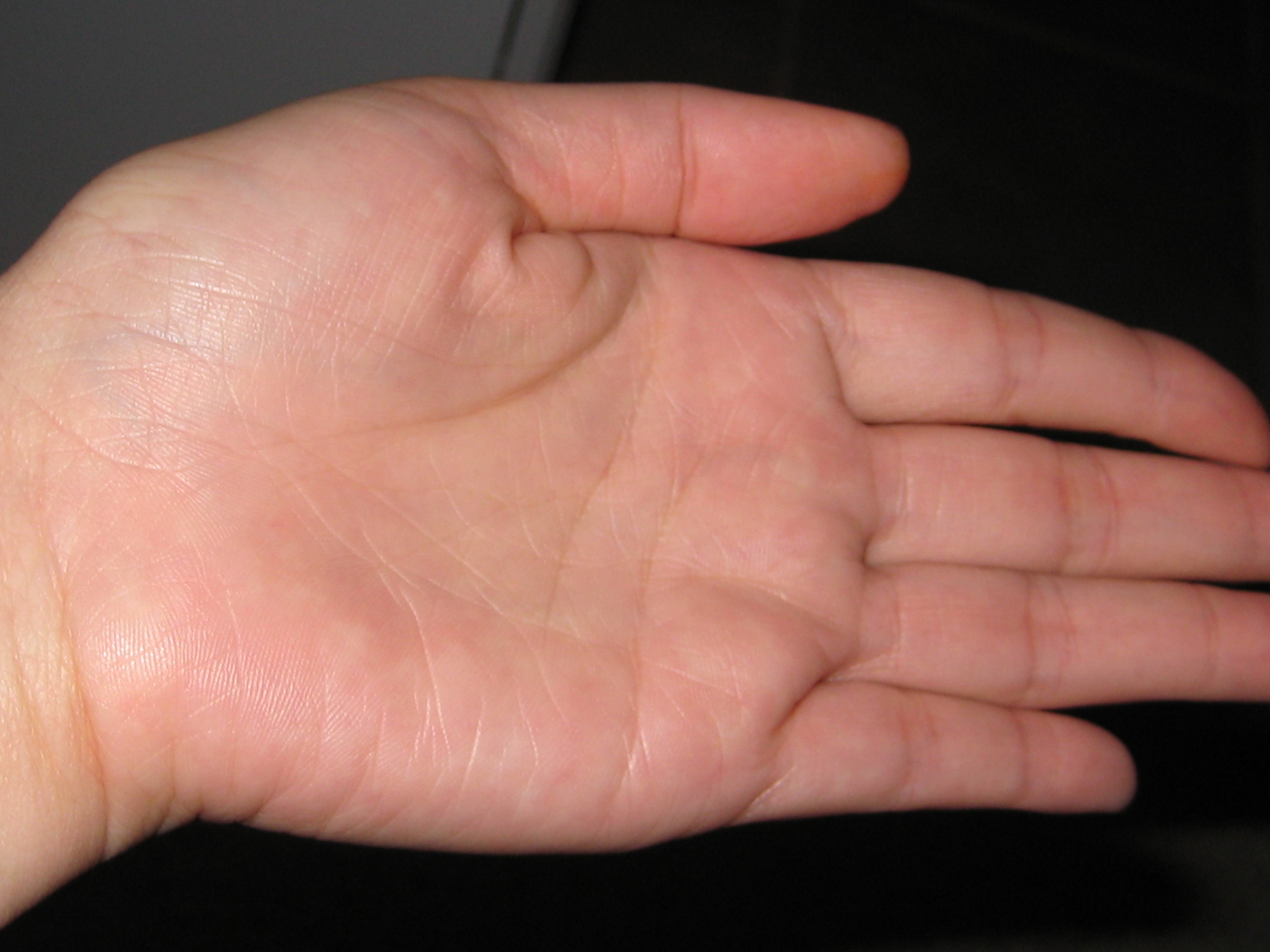 left hand -4.jpg